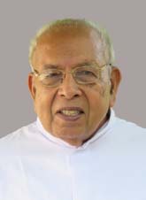 Fr. George Madappallikunnel